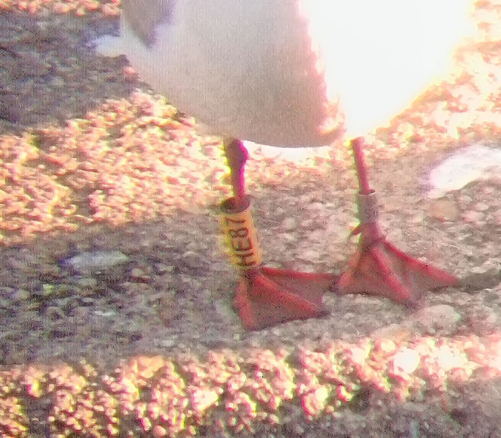 SEGNALIAMO GLI ANELLI COLORATI